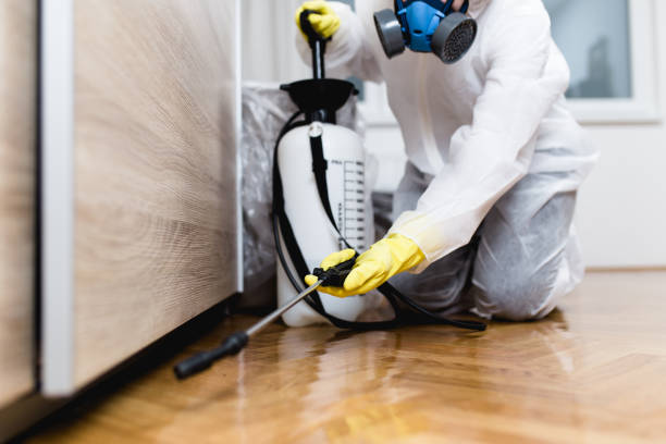 Best Pest Inspection Near Me  in Pinckneyvle, IL