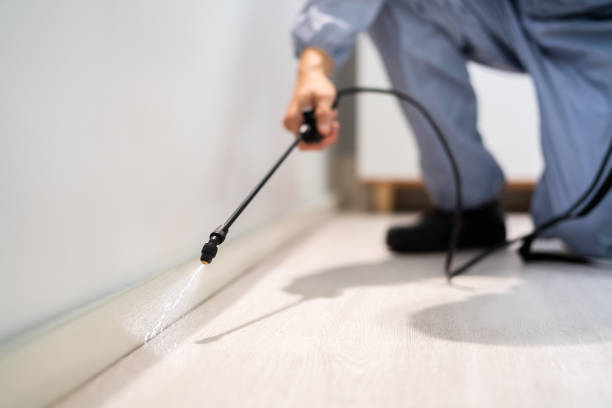 Pest Control Cost in Pinckneyville, IL