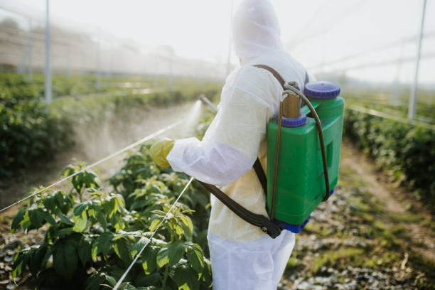 Best Wildlife Control Services  in Pinckneyvle, IL